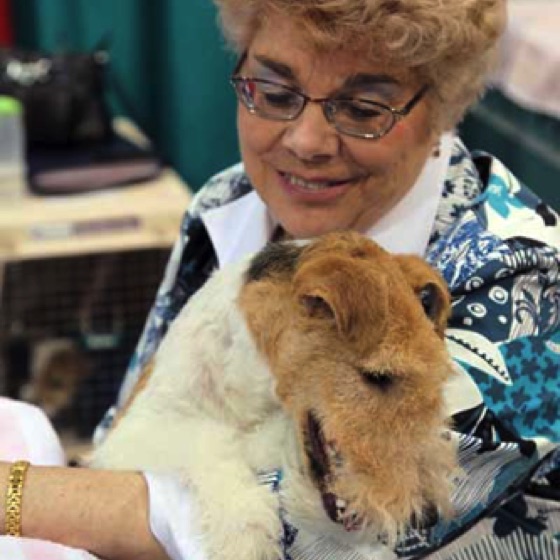 Pet Fair