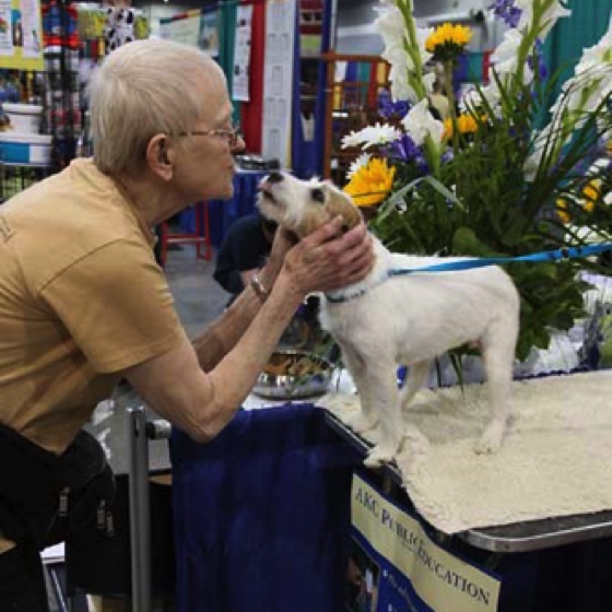 Pet Fair